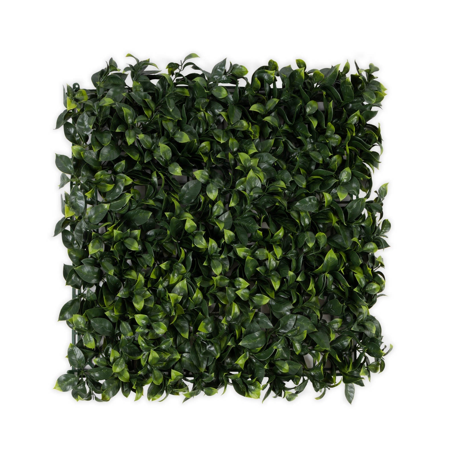 Artificial plant tile Gardenia Plant tiles for wall mounting 50