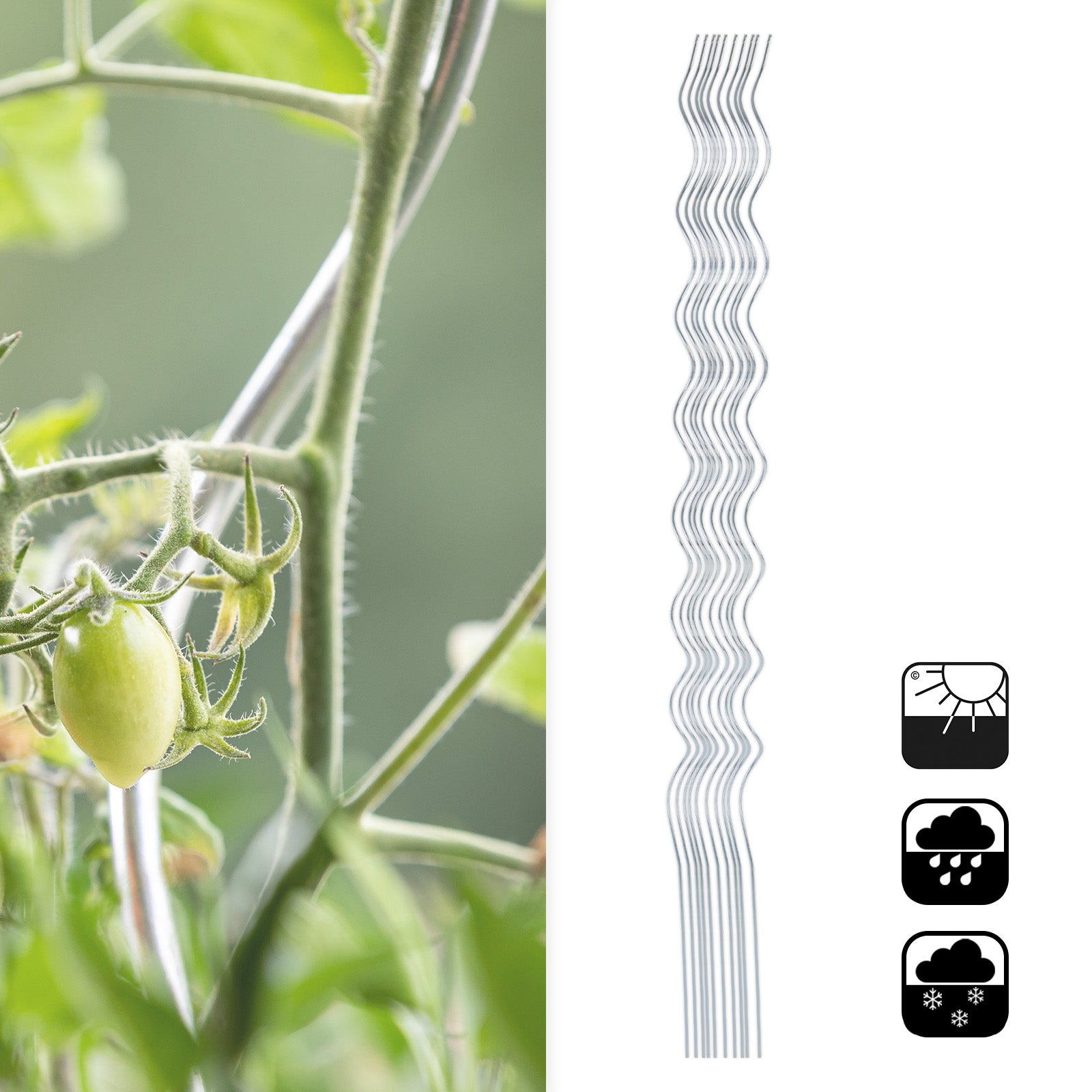 Tomato Spiral Bars | Fully galvanized | Plant Poles | 180 cm long