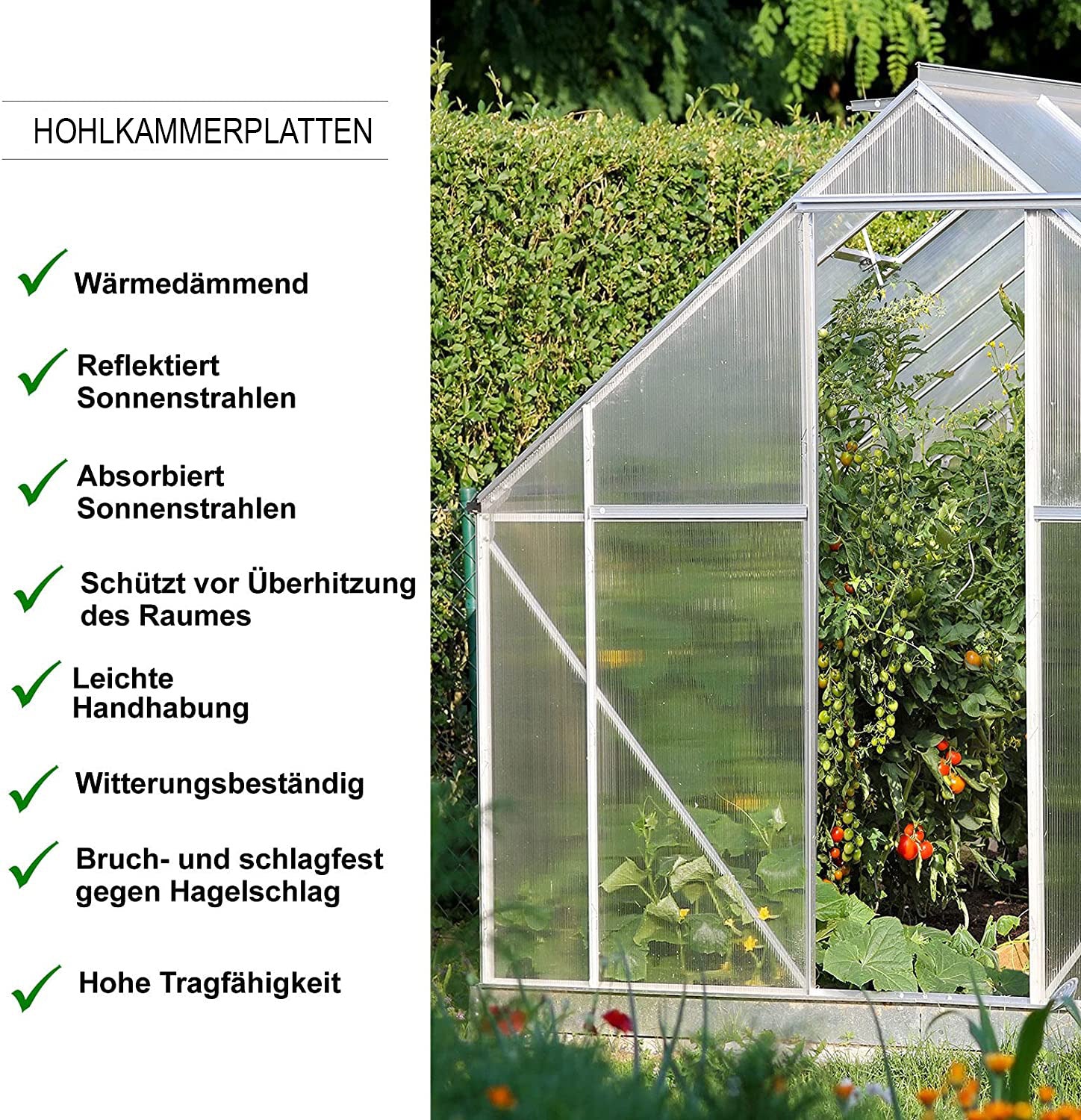Dobbeltvægplade | 60,5 x 121 cm | Polycarbonat | Til drivhus & overdækning