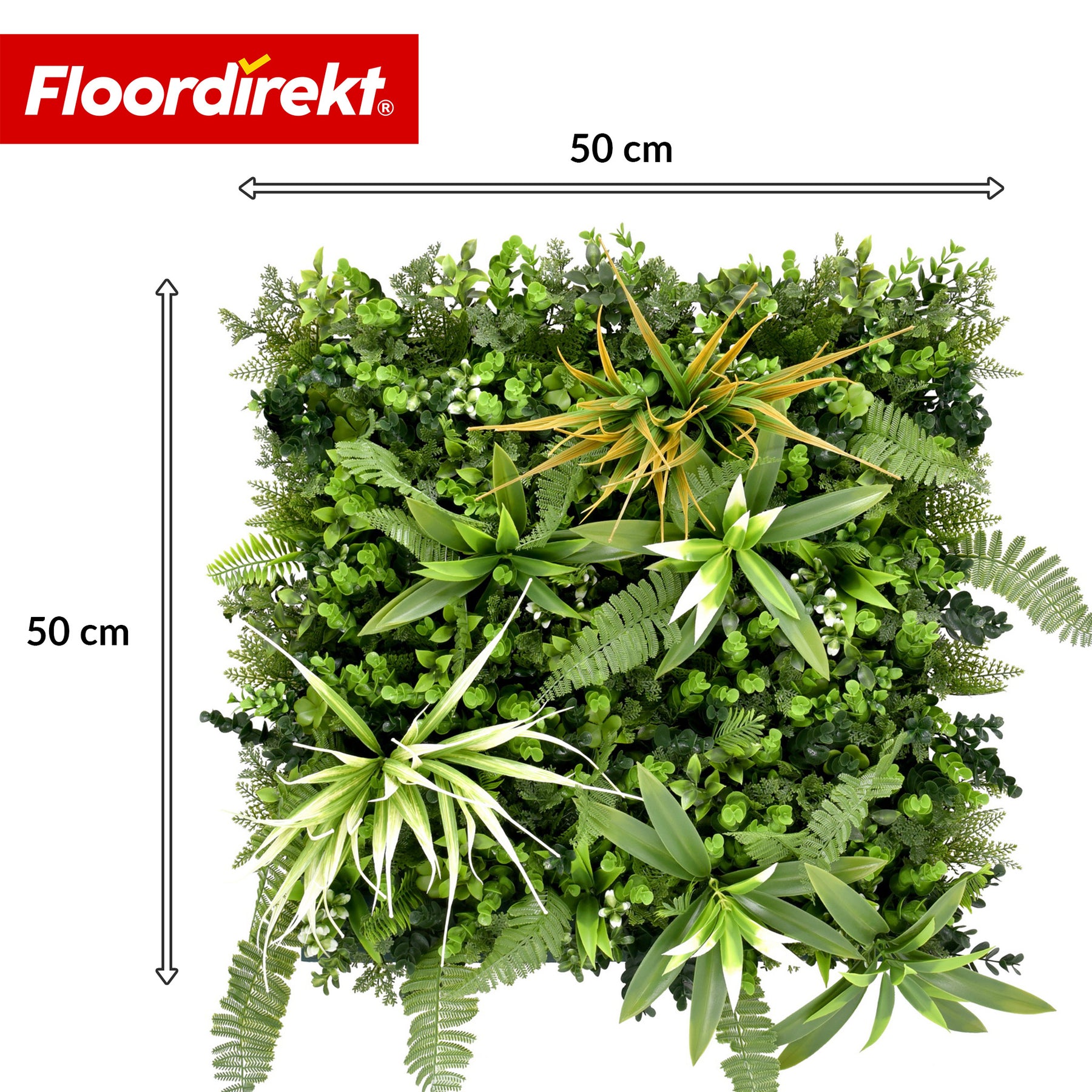 Plantevæg | Fire Sky | Naturtro, vedligeholdelsesfrit kunstplante-panel | Solbestandig & udvidelig med klik-system | 50 × 50 cm