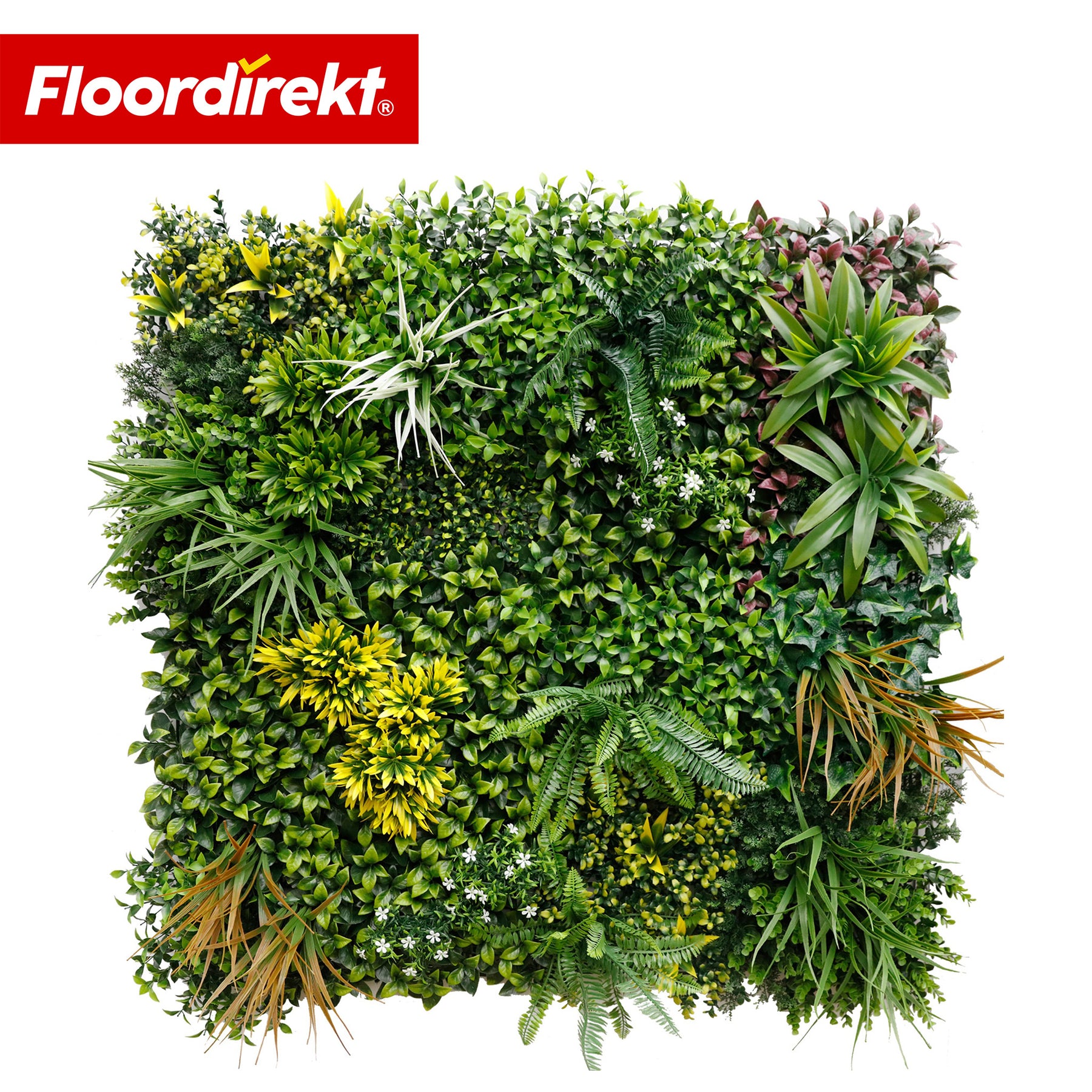 Plantevæg | Spring Garden | Naturtro, vedligeholdelsesfrit grønpanel | Solbestandig & udvidelig med klik-system | 100 × 100 cm