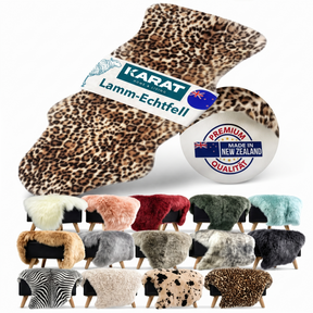 F1_Leopard