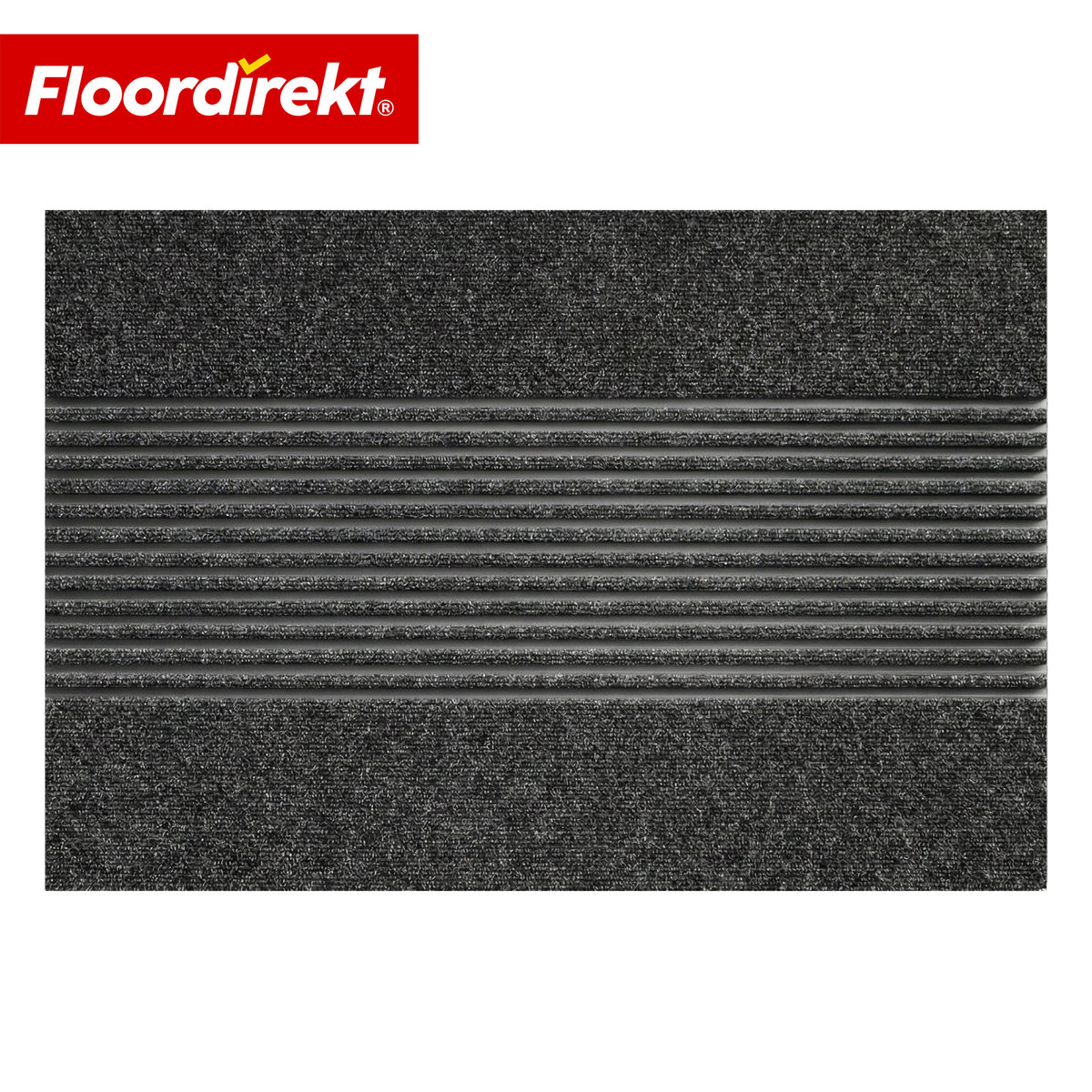 F1_Antracit striber