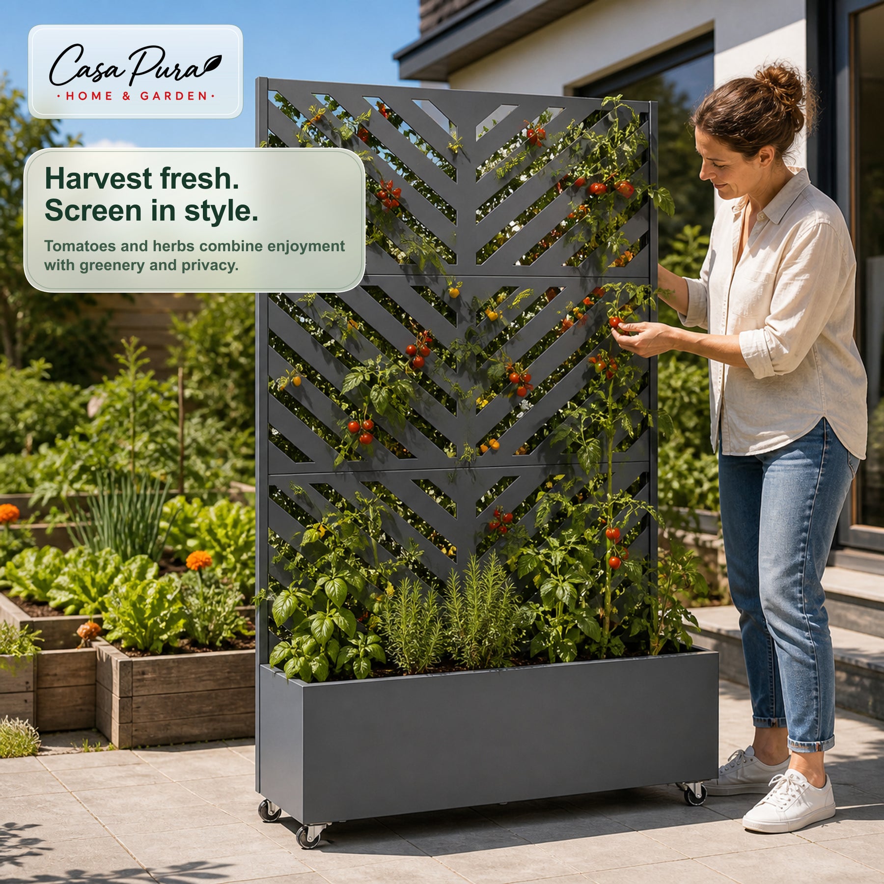 Plantekasse med espalier | Floris | Mobil afskærmning i galvaniseret stål | 119,5 × 40,6 × 185,5 cm